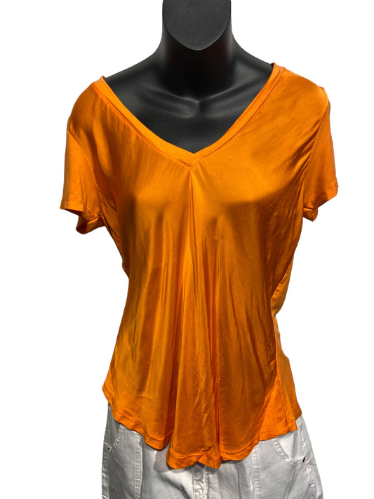 Italian Silky Feel V-neck Top